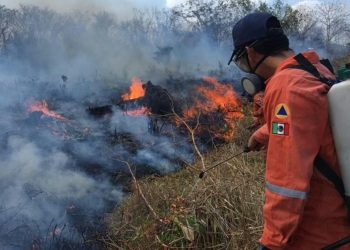 Se registran dos incendios forestales, afectando 118 hectáreas de Campeche y Yucatán