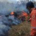 Se registran dos incendios forestales, afectando 118 hectáreas de Campeche y Yucatán