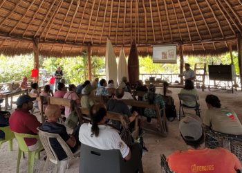 Capacitan a apicultores de Solidaridad para mejorar la producción y calidad de la miel con fines de exportación