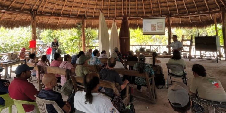 Capacitan a apicultores de Solidaridad para mejorar la producción y calidad de la miel con fines de exportación