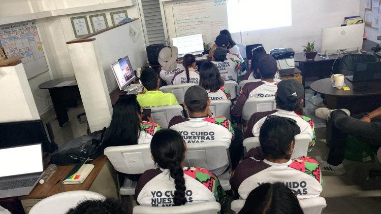 Gobierno de Solidaridad mantiene estándares de calidad en las playas Blue Flag
