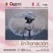 Invita la FPMC a la inauguración de la exposición “En Transición” en el Museo de la Isla