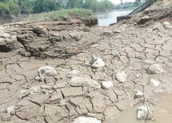 Tabasco registrará hasta 42°C durante el estiaje: Conagua