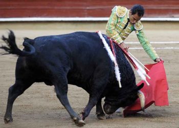 PVEM rechaza corridas de toros en Tabasco por «crueldad animal»