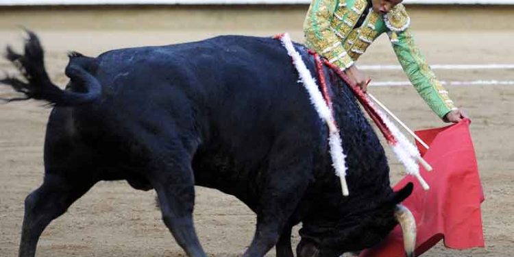 PVEM rechaza corridas de toros en Tabasco por «crueldad animal»