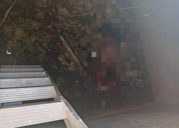 Rescatan a sujeto que se arrojo a una cisterna vacía en Rio indio, Chetumal