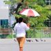 Pronóstico del Clima en Tabasco: Lluvias aisladas y ambiente caluroso