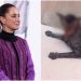 Lamenta Sheinbaum asesinato de gata en Tabasco y analiza Ley General contra maltrato animal