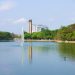 Gobierno de Tabasco y Centro trabajan para evitar descargas de aguas residuales en la Laguna de las Ilusiones