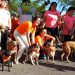 Caninos 911 espera más de 400 participantes en la 5ta Caninata & Perun 2025