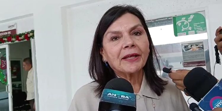 Concesionario de lanchitas del malecón planteó incremento de tarifa, se está revisando: Osuna