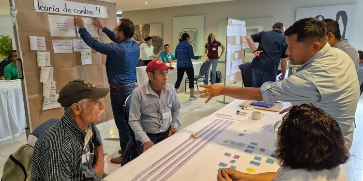 Impulsa Quintana Roo la actualización de la Estrategia para la Conservación y el Uso Sustentable de la Biodiversidad: IBANQROO