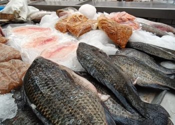 Precios de mariscos se mantienen estables previo a Semana Santa en Villahermosa