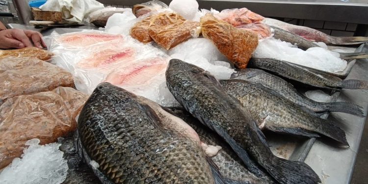 Precios de mariscos se mantienen estables previo a Semana Santa en Villahermosa