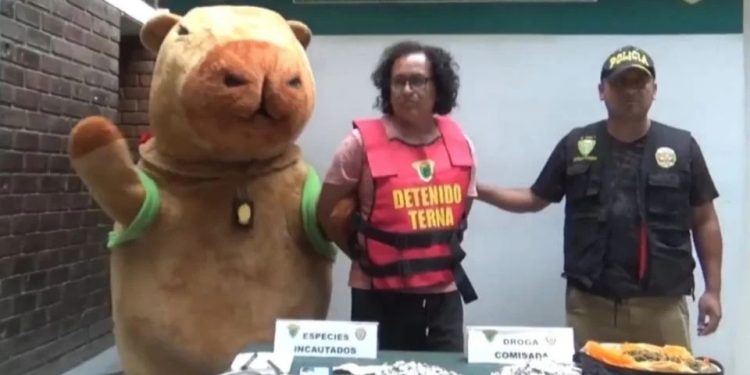 Agente se disfraza de capibara y captura a un narcomenudista en Perú