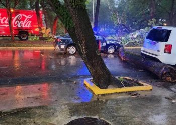 Lluvias provocan accidentes, caída de árboles y fallas eléctricas en Tabasco