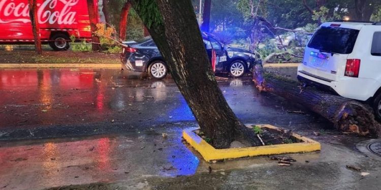 Lluvias provocan accidentes, caída de árboles y fallas eléctricas en Tabasco