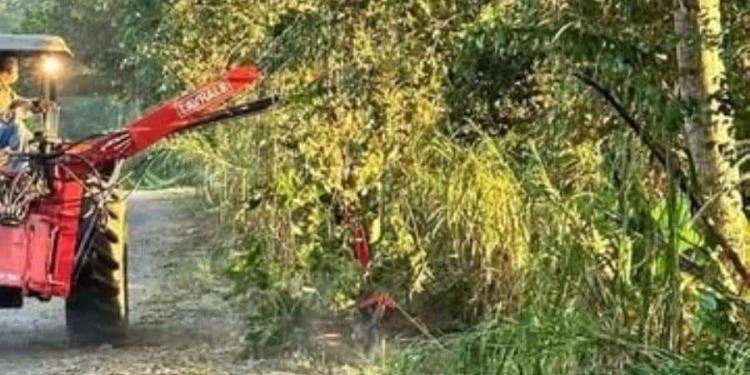 Continúan trabajos de limpieza de maleza en carreteras de Centro: Osuna