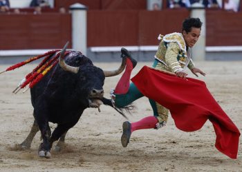 PVEM llama a no asistir a corrida de toros en Tabasco