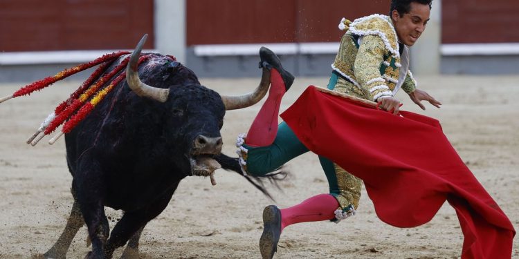 PVEM llama a no asistir a corrida de toros en Tabasco