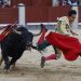 PVEM llama a no asistir a corrida de toros en Tabasco