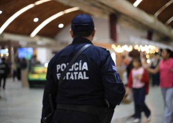 PVEM respalda estrategia de seguridad en Tabasco