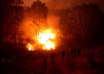 Incendios forestales afectan la zona centro y sur en Chile