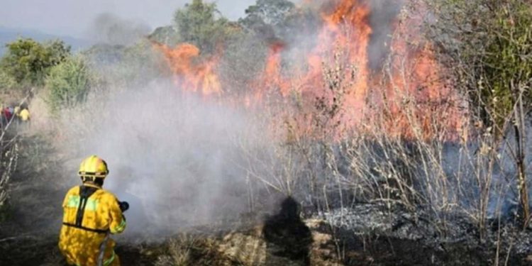 Tabasco se prepara para la temporada de incendios forestales