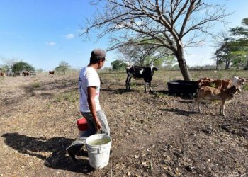 SEDAP espera lluvias para mitigar impacto de la sequía en Tabasco