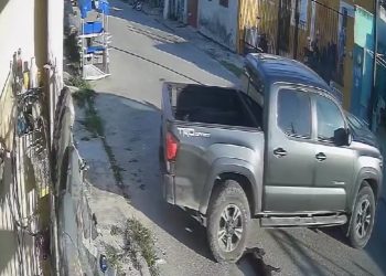 La Polícia Ecológica del Ayutamiento de Kanasín inventigan agreción de una perrita