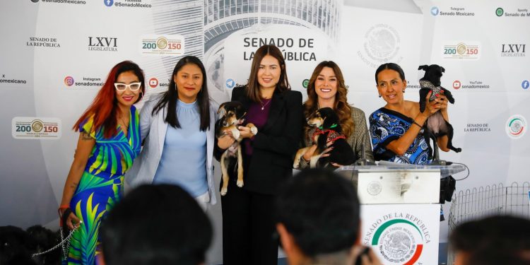Presenta Anahí González Ley General en Materia de Bienestar, Cuidado y Protección de los Animales