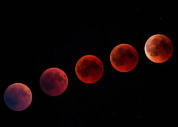 Eclipse Lunar 2025 comúnmente llamado ‘Luna de Sangre’