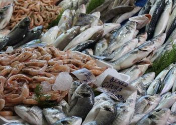 Preveén la alza la venta de pescados y mariscos por cuaresma