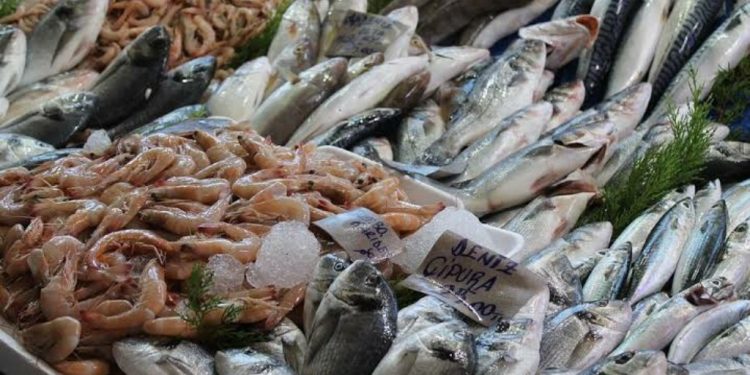 Preveén la alza la venta de pescados y mariscos por cuaresma