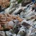 Preveén la alza la venta de pescados y mariscos por cuaresma