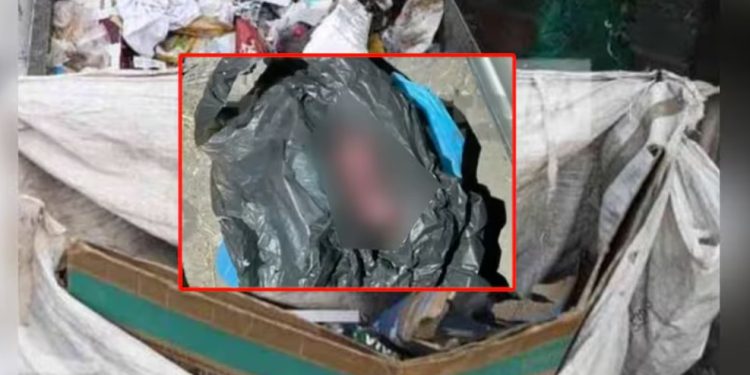 Hallan a otro bebé dentro de una bolsa en un contenedor de basura en Tultitlán
