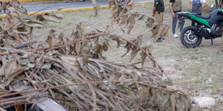 Ana Paty Peralta firme con la erradicación de basureros clandestinos