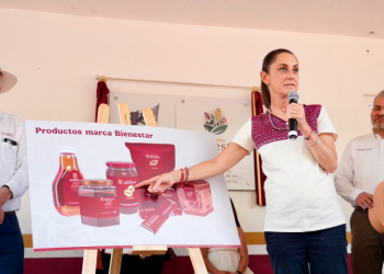 Cacao tabasqueño se venderá como chocolate en Tiendas del Bienestar: Sheinbaum