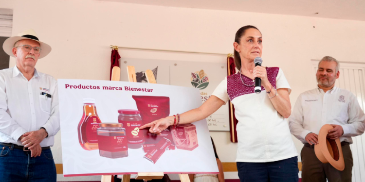 Cacao tabasqueño se venderá como chocolate en Tiendas del Bienestar: Sheinbaum