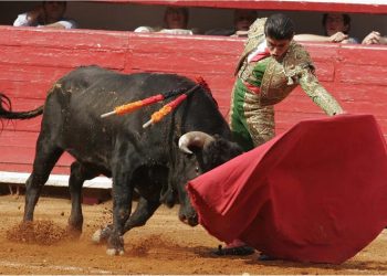 CDMX prohíbe corridas de toros con violencia; sector taurino advierte pérdidas millonarias