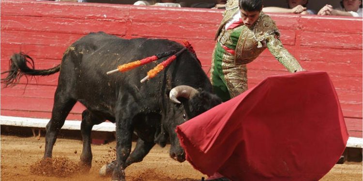 CDMX prohíbe corridas de toros con violencia; sector taurino advierte pérdidas millonarias