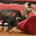 CDMX prohíbe corridas de toros con violencia; sector taurino advierte pérdidas millonarias