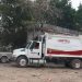 Sí habrá recolección de basura el 17 de marzo, informa Centro