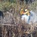 Caza furtiva, causa del incendio que arrasó 800 hectáreas en Centla: PC