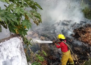 Endurecimiento de penas por incendios, decisión del Congreso: Protección Civil