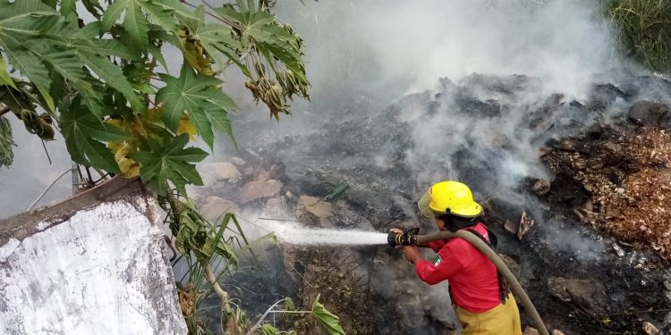 Endurecimiento de penas por incendios, decisión del Congreso: Protección Civil