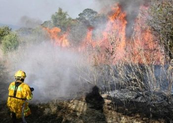 734 localidades de Tabasco en alto riesgo de incendios forestales: IPCE