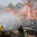734 localidades de Tabasco en alto riesgo de incendios forestales: IPCE
