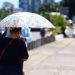 Tabasco inicia la semana con clima caluroso y sin lluvias