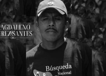 Investigan muerte de padre buscador en Veracruz tras detención policial